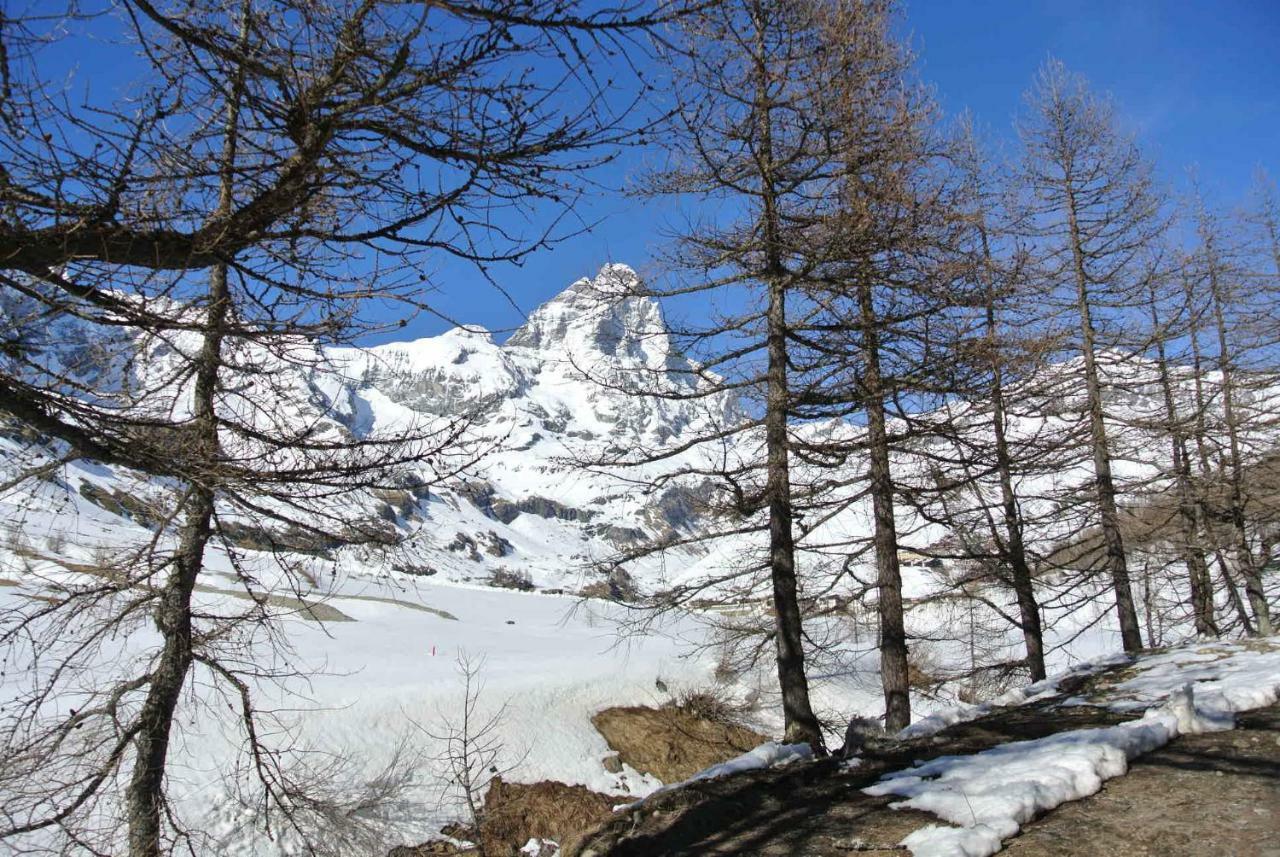 President Palace - Breuil Cervinia -Appartamento 6 - Cir 0634 المظهر الخارجي الصورة